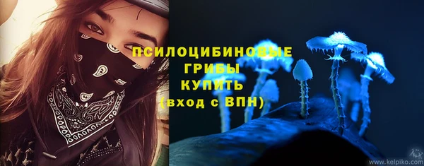 гашик Горняк