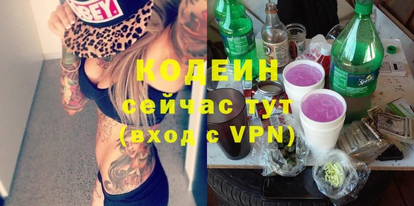 гашик Горняк