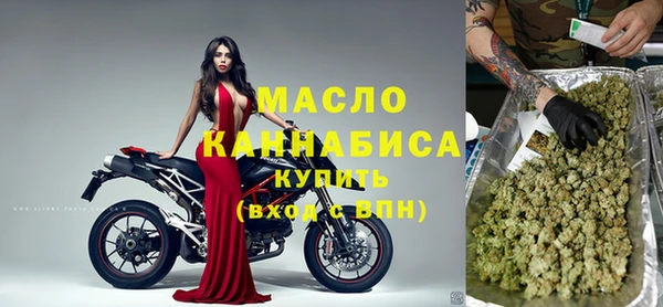 гашик Горняк