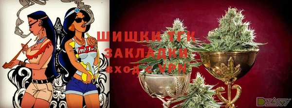 гашик Горняк
